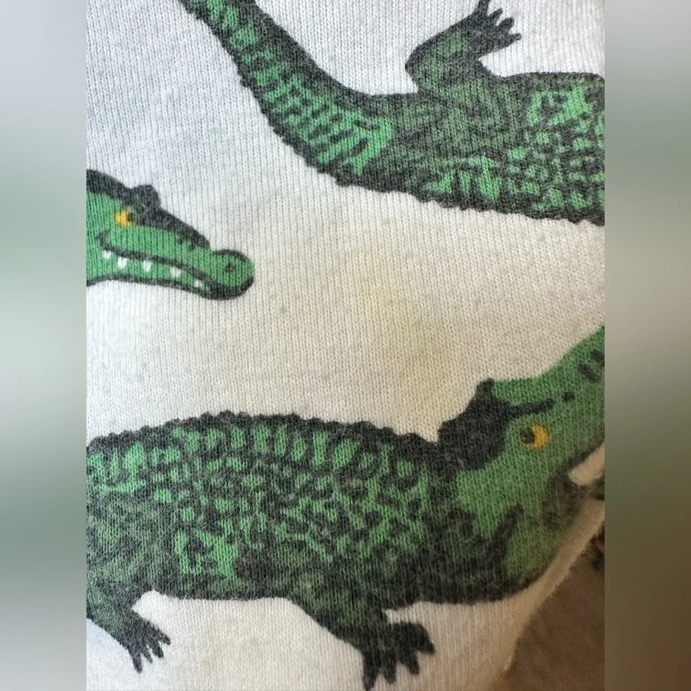 Baby Crocodile Pajama Set - Gray and Green
